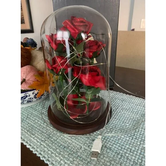 Jieway Beauty and The Beast Rose - Picture 1 of 2